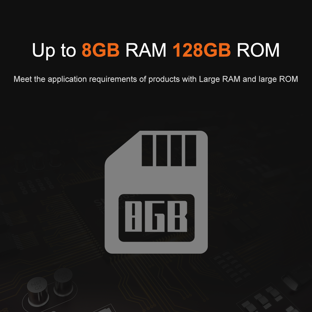 Liontron RK3566 DDR4 8GB RAM A - Open Vending Machine บทวิจารณ์และราคา